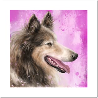 Painting of a Brown and White Furry Collie Dog Smiling Posters and Art